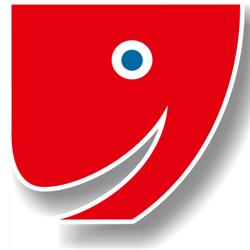 Phosphoro SRL