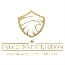 Falco Investigation