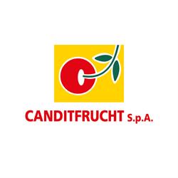 Canditfrucht S.p.a. Frutta Candita Agrumi