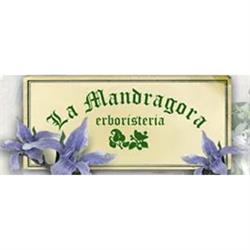 La Mandragora Erboristeria