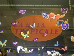 La Baia Tropicale