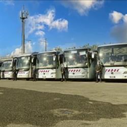 Todde Bus