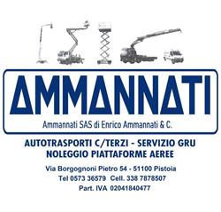 Ammannati Di Ammannati Elio