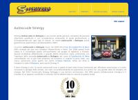 Sinergy Autoscuole S.r.l.