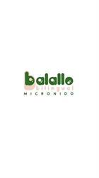 Baby Parking Balallo