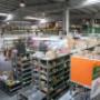 Gallery Professionale