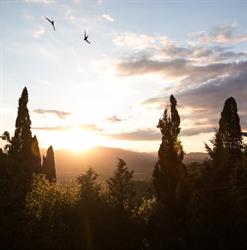 Locanda nel Cassero ristorante
