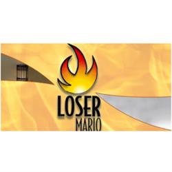 Loser Mario Manutenzione Camini