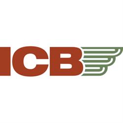 Icb Srl