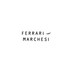 Studio Marchesi Associati