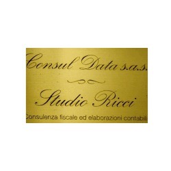 Consul Data Sas