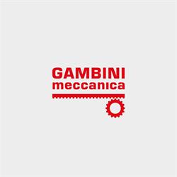 Gambini Meccanica