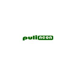 Pulineon
