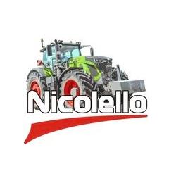 Nicolello Francesco SRL