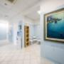 Gallery Professionale