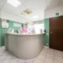 Gallery Professionale
