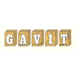Gavit