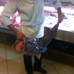 Ristorante La Fiorentina