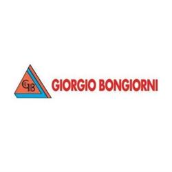 Giorgio Bongiorni
