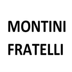 Montini Telai (SRL)