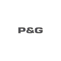 P. e G. Assistenza Caldaie