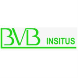 B.V.B. Insitus