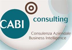 Cabi Consulting SRL