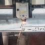 Gallery Professionale