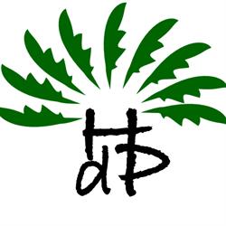 Hotel Delle Palme S.r.l.