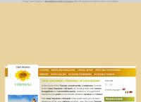 Aism Associazione Italiana Sclerosi Multipla