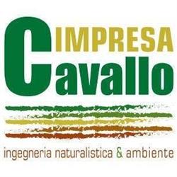 Impresa Cavallo SRL