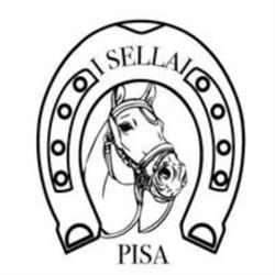 I Sellai di Pisa