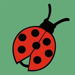 LA COCCINELLA di MAURO CLAUDIA