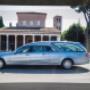 Gallery Professionale