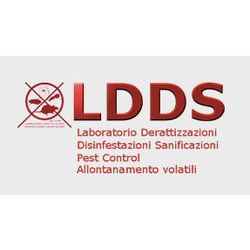 Ldds