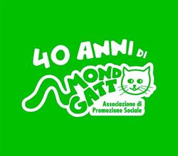 mondo gatto