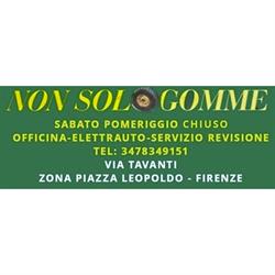 Nonsologomme