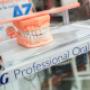 Gallery Professionale