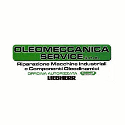 Oleomeccanica Service