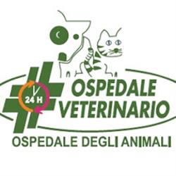 Ospedale degli Animali