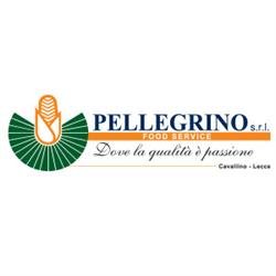Pellegrino