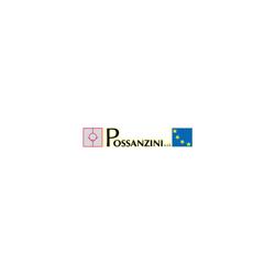 Possanzini