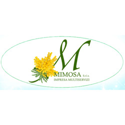 Impresa di Pulizie Mimosa