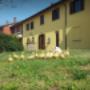 Cascina