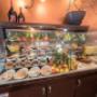 Gallery Professionale