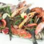 Gallery Professionale