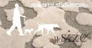 Collezione-Segni-di-lana
