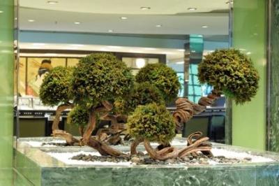 bonsai-stabilizzati