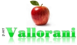 VALLORANI irrigazione elettropompe Irrigazione, impiantistica idraulica ed elettromeccanica