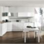 cucina anta bianco lucido